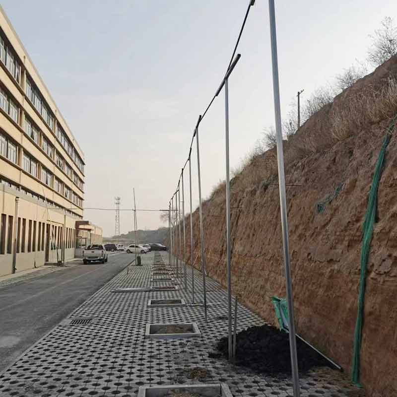 1700554447400142.jpg 1700554447400142.jpg